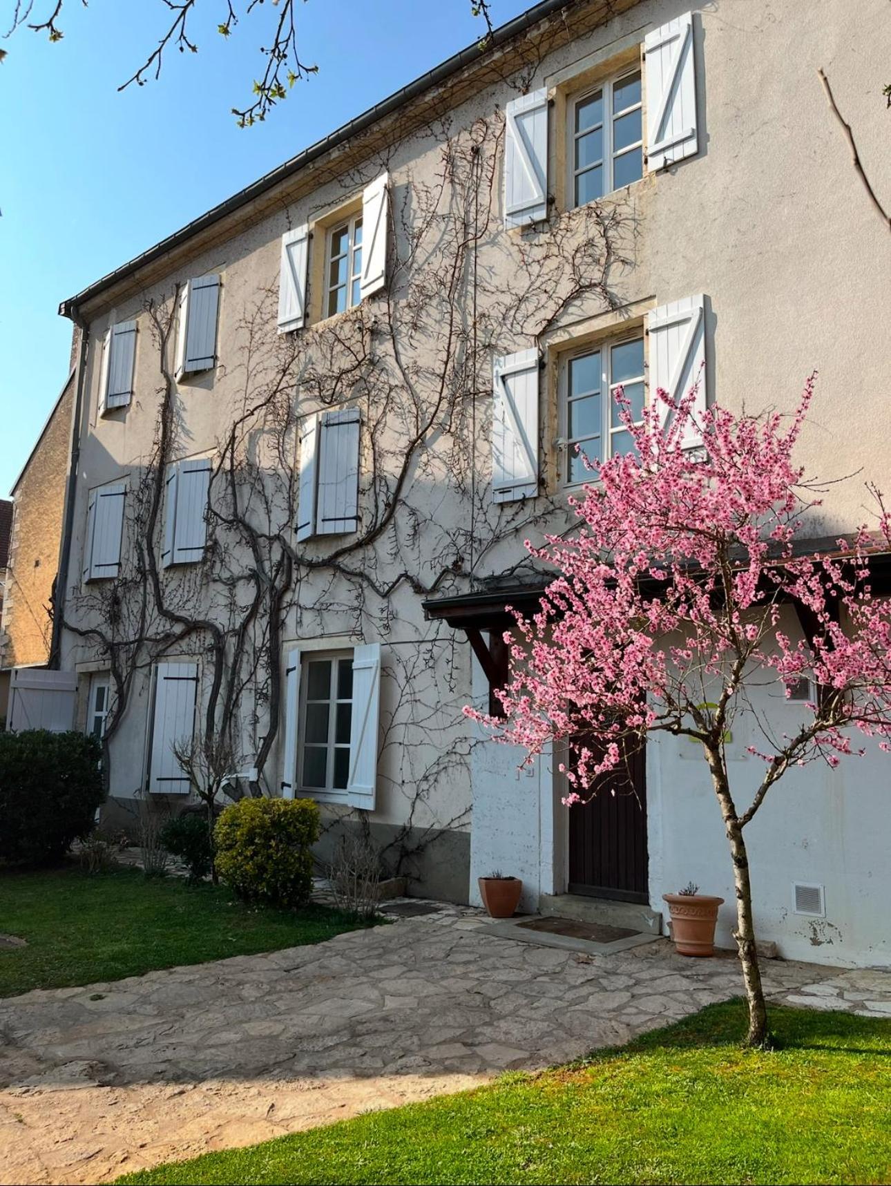 La Villa Bis Vesoul Esterno foto